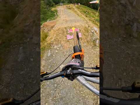 The King of RED BULL HARDLINE! 👑