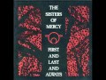The Sisters Of Mercy-No Time To Cry 