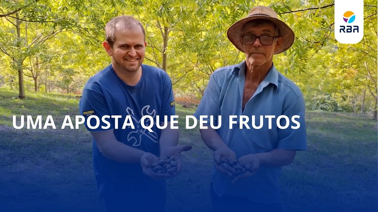 Do pinus à noz-pecã: uma aposta que deu frutos