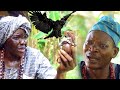 IJA ELEYE ATI AJAGUNA - An African Yoruba Movie Starring - Fatia Odua (Lalude)