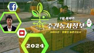 [ 주간농사정보 ] 9월 둘째주 (2024. 09. 09. ~ 09. 15.)