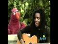 Sesame Street Questions Tracy Chapman ALLY NEBARACKK