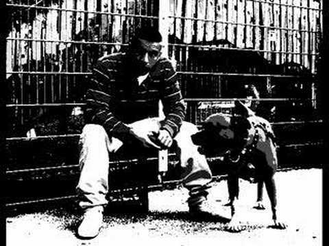 bludzbrüder-preview 4