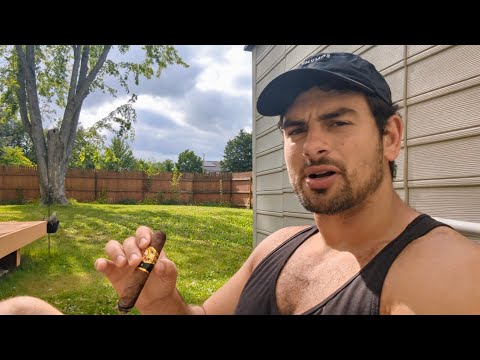 Retardmaxx no thinking required 