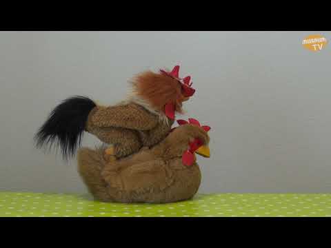 Allerlei zum Ei - Wie ensteht ein Küken? 1