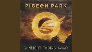 Sunlight Fading Away