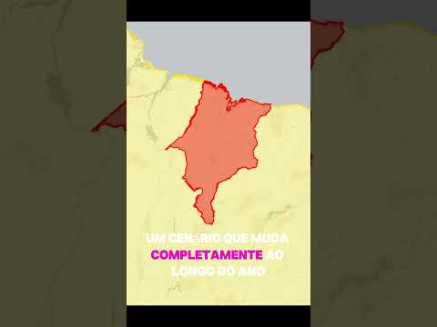 Estados do Brasil que parecem ERRO no mapa 😳🇧🇷