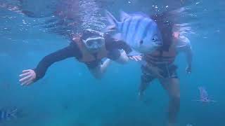 한국에서 온 두 명의 귀여운 친구가 나트랑 해변에서 스노클링을 했습니다.