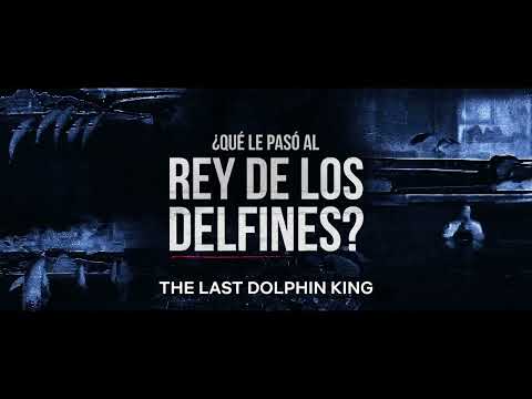 afbeelding Last Dolphin King, The