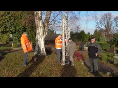 Grünkolonne Scheven