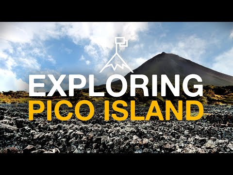 wayb pico discount code