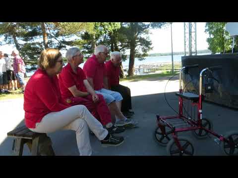 MVI 2068 Larvikitten av Arnstein Johansen