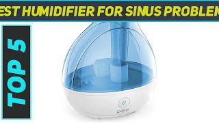 5 Best Humidifier For Sinus Problems in 2023