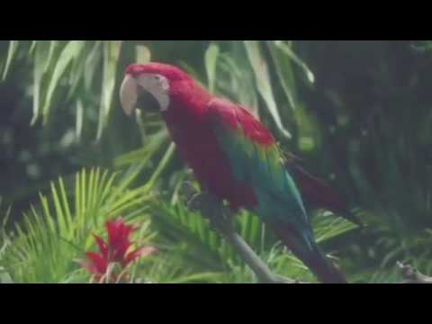 Simioli & Provenzano - Ain't No Sunshine