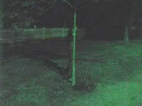 Rob Zombie vs Metallica