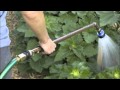 EDT 3470 Ways To Conserve Water