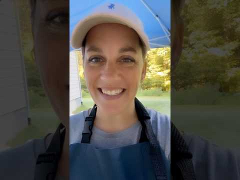 Chicken Processing Day 2 #chickenprocessing #pasturedpoultry