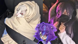 Untitled Video