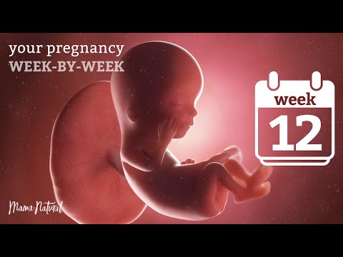 12 Weeks Pregnant - Natural Pregnancy Week-By-Week