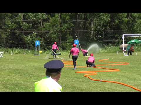 SDH Oldříš v Telecím 2015 - 35,99