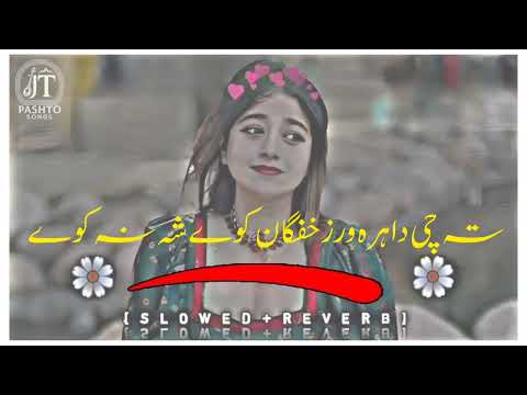 Ta che da hrawarz khafghan kawe sha na kawe// pashto song 2025//تہ چی دا ہرہ ورز خفگان کہ وے