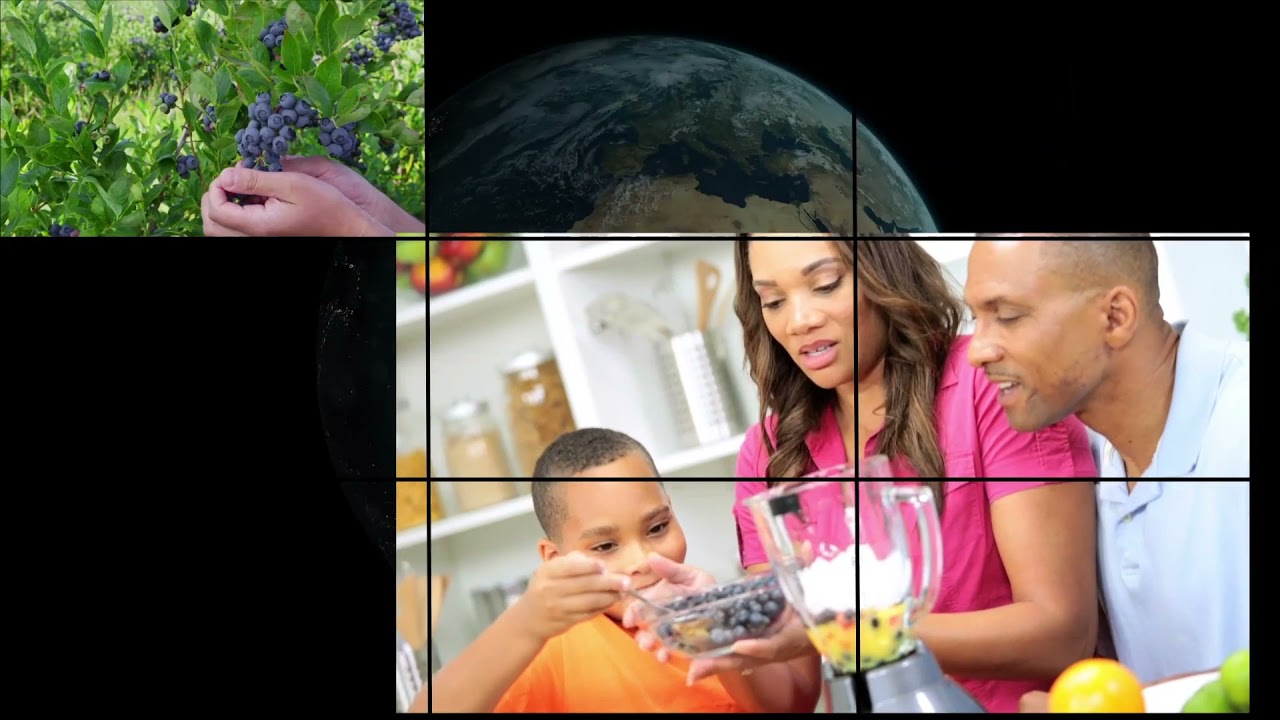 Carrier Transicold – Designing Innovative Solutions