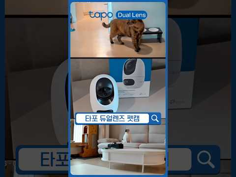 다묘 집사 펫캠의 조건 | Tapo C245D