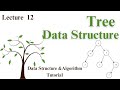 Introduction to Tree Data Structure | Data Structure & Algorithm in Java  #dsa #java #coding