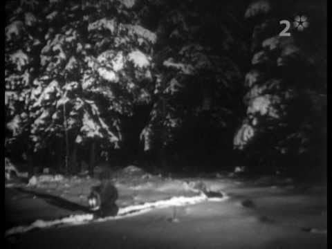 Tomten - en vintersaga