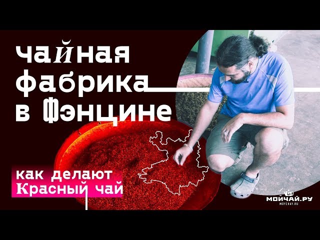 Фэнцин. Экскурсия по заводу красного и зеленого чая.