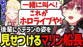 あまりにも濃い一日を過ごすホロ鯖マイクラハードコア(マリン視点) まとめ【宝鐘マリン/兎田ぺこら/獅白ぼたん/湊あくあ/桃鈴ねね/音乃瀬奏/火威青/白銀ノエル/ホロライブ切り抜き】