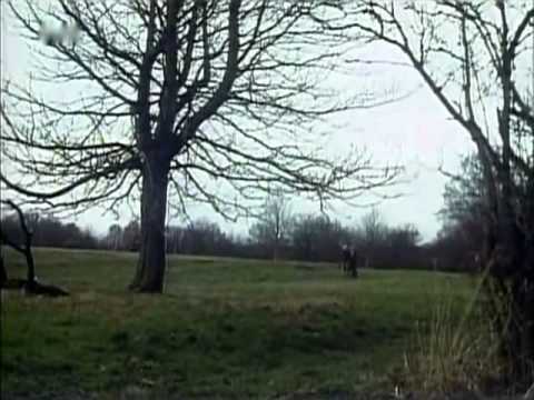 The March (1990) full version