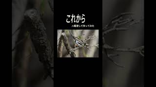 「これから」という曲のMVをAI駆使して作ってみた