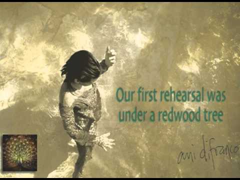 Mariachi - Ani Difranco