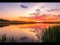 Never Say Goodbye -   Bob Dylan  (Sunset Pic)