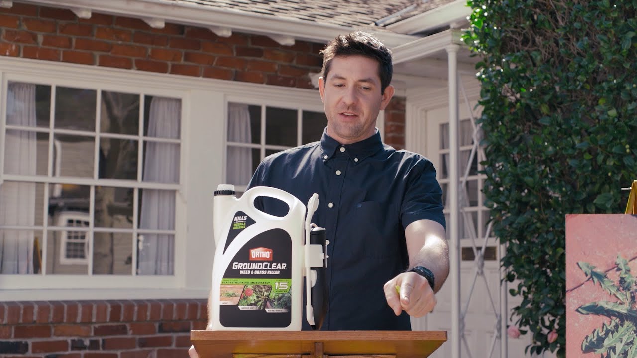 Scotts Ortho - Eulogy Thumbnail