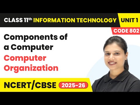 Class 11 Information Technology Book Overview Course Code 802