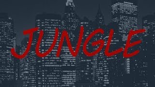 X Ambassadors &amp; Jamie N Commons ft. Jay Z - Jungle (Remix)(Lyrics on Screen)