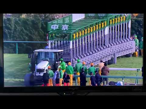 【高松宮記念2019】福永祐一騎手おめでとう！！