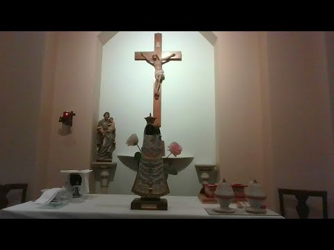 Venerdì 20 marzo Rosario e Compieta della notte Live FFB Loreto