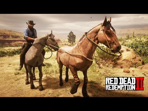 Presente de ANIVERSÁRIO - Dei um MUSTANGUE PRO MEU FILHO - A FAZENDA DE JOHN MARSTON