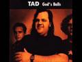 03 Grunge Years-  Stumblin' Man- TAD