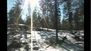 Slayer-Born to be wild