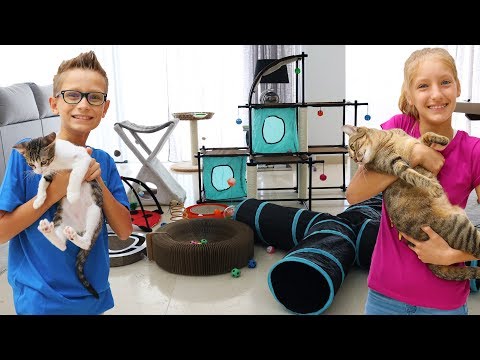 Testing Cat Toys on our Cats!!!!