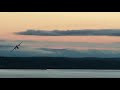 Man Reenacts Lilo Stitch Plane Scene