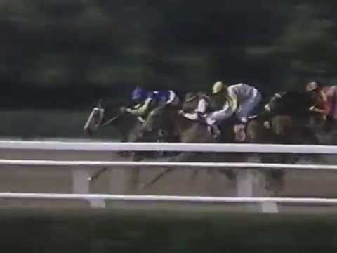 1988 Coaching Club American Oaks -- Goodbye Halo