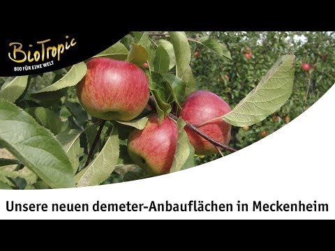 Bois und BioTropic: Neuer Hof in Meckenheim