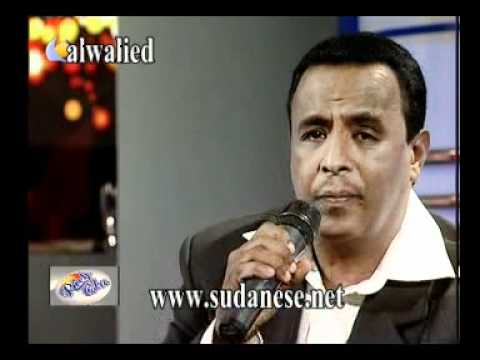 نادر خضر