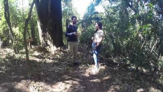 Miniatura do vídeo