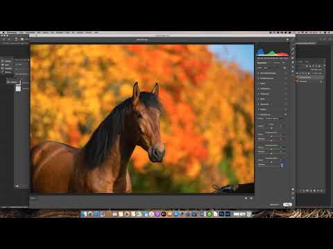Quicktipp No.  26: Herbstfarben in Photoshop und Lightroom verstärken mit nur einem Slider!